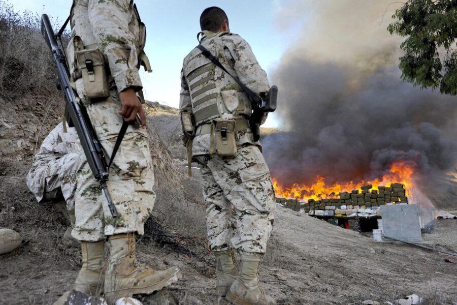 Drug cartel