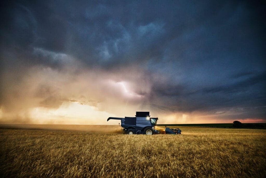 news Wheat production